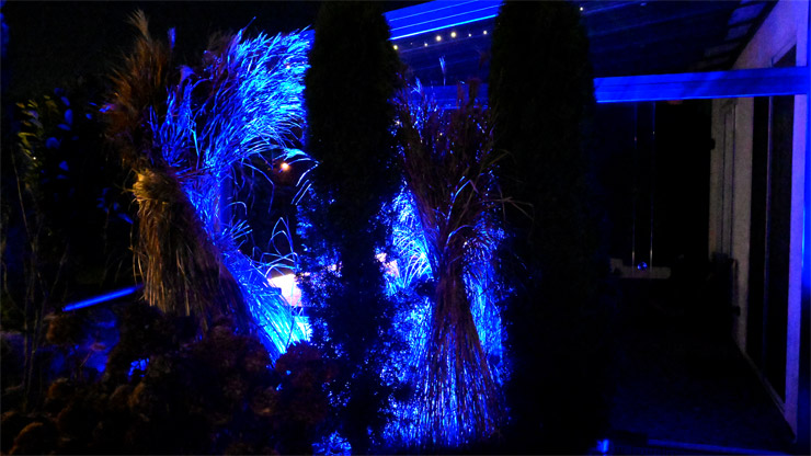 Lebendiger Adventskalender 2025
     in Scharmbeckstotel